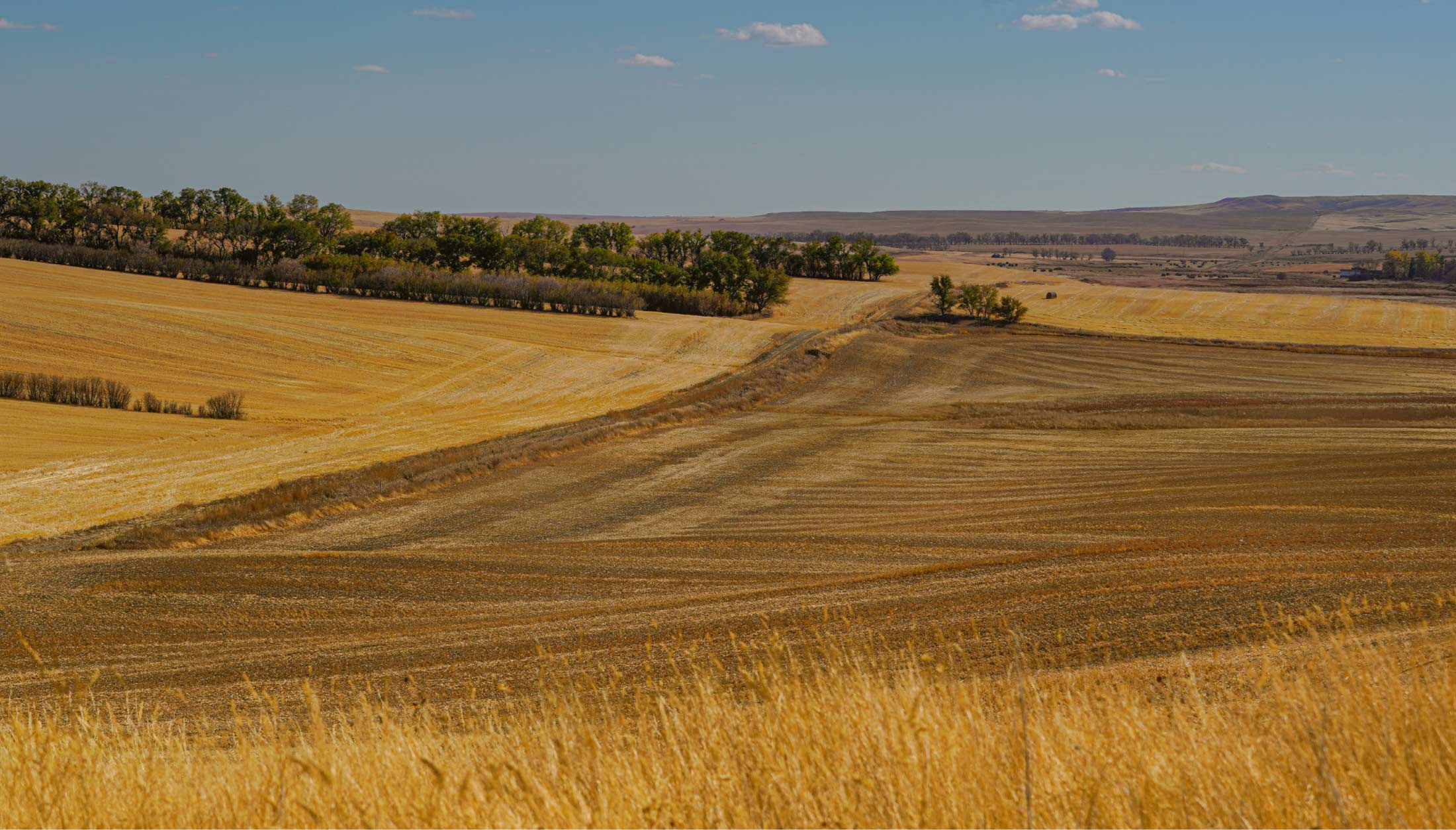 Bengough, SK to Sidney, MT