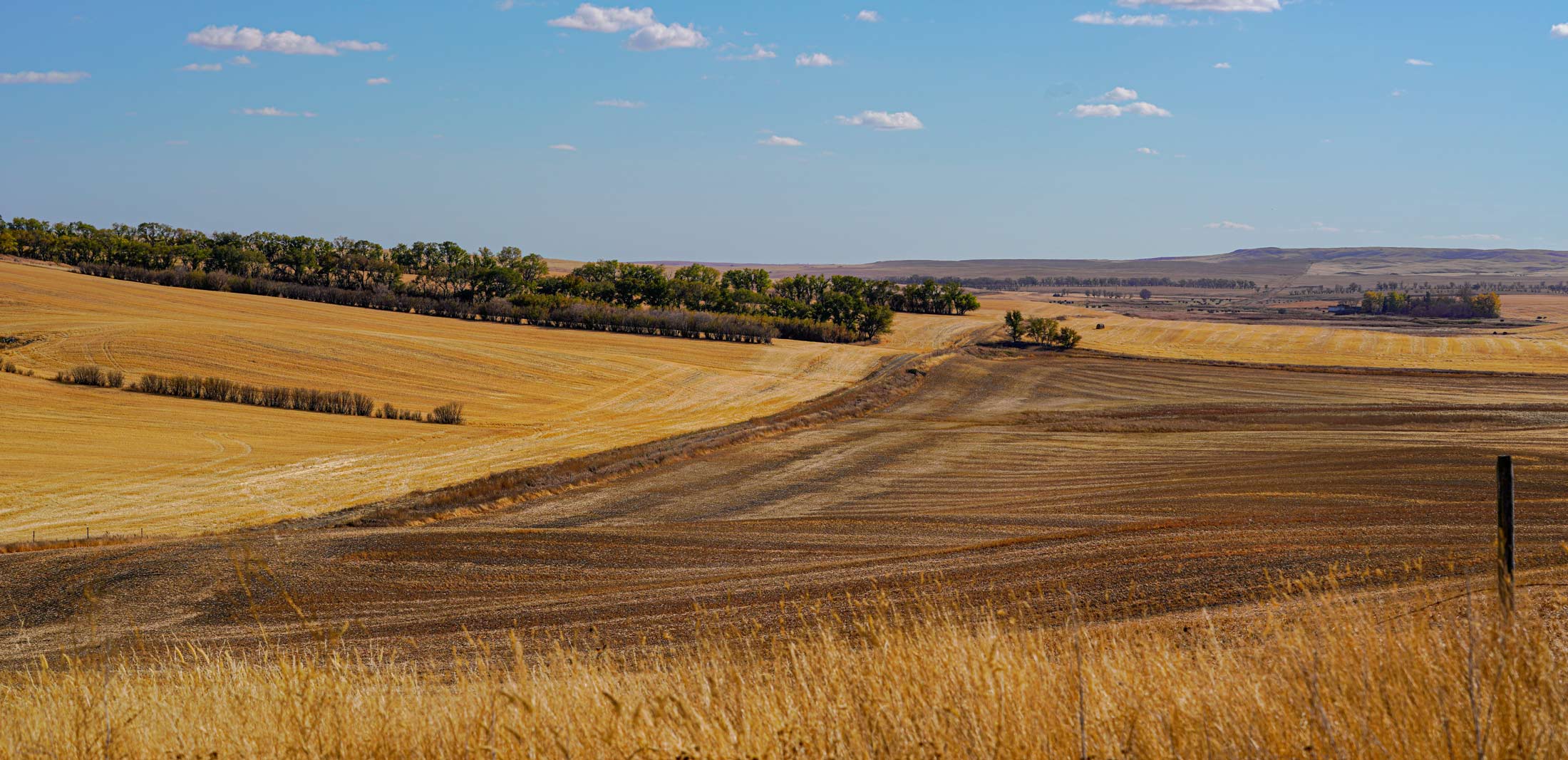 Bengough